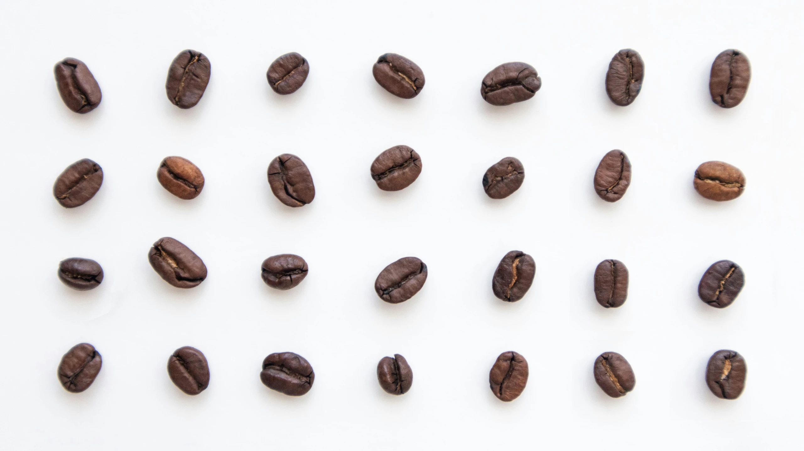 lots of different kinds of coffee beans on a table