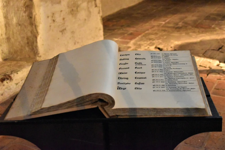 open book laying on a brown object with white and black writing