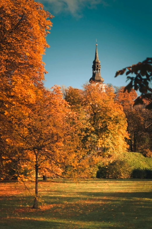 a tower in the distance with fall foliage on it