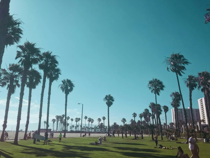 palm trees and people on the beach in barcelona