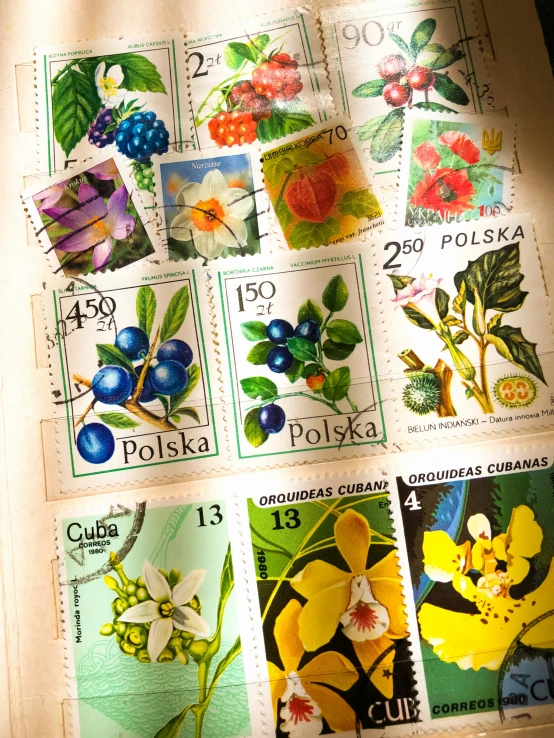 some stamps with different plants and flowers in them