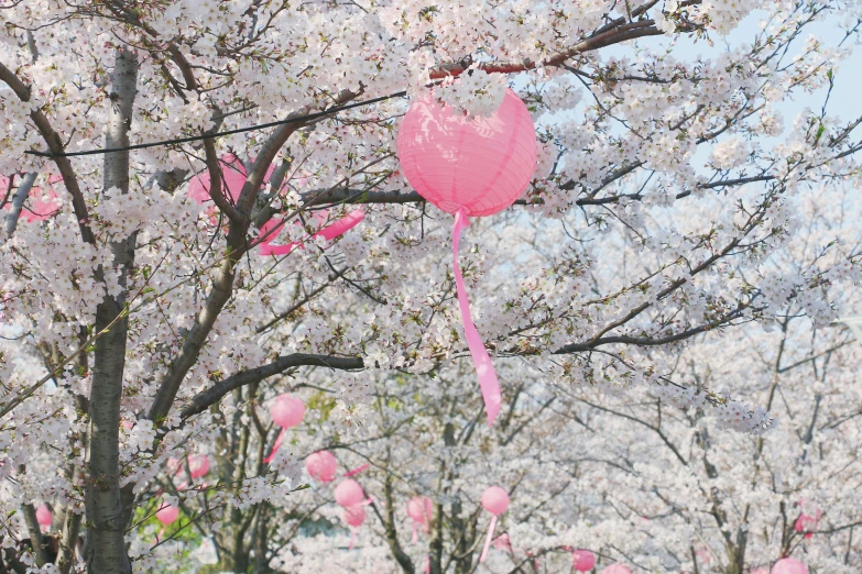 a pink heart shaped balloon with a long tail hangs from the nches of some blossoming trees