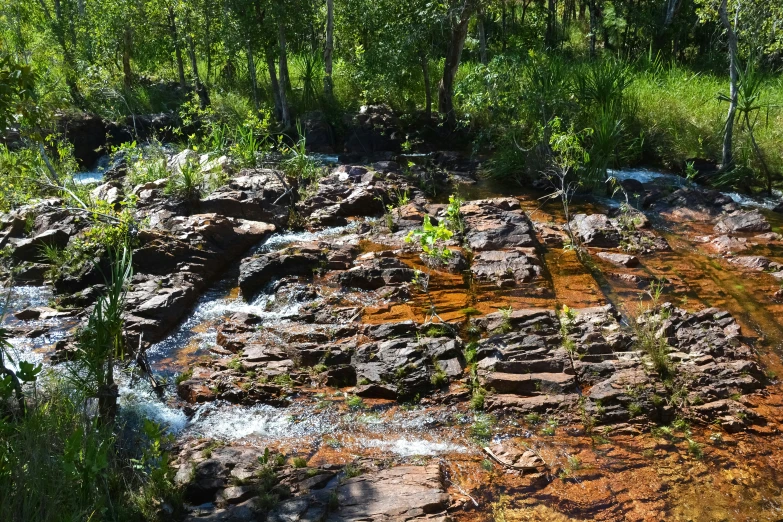 a small waterfall is seen from above in the woods