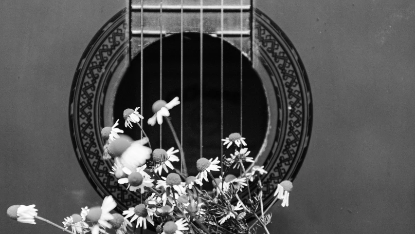 black and white po of guitar with flowers