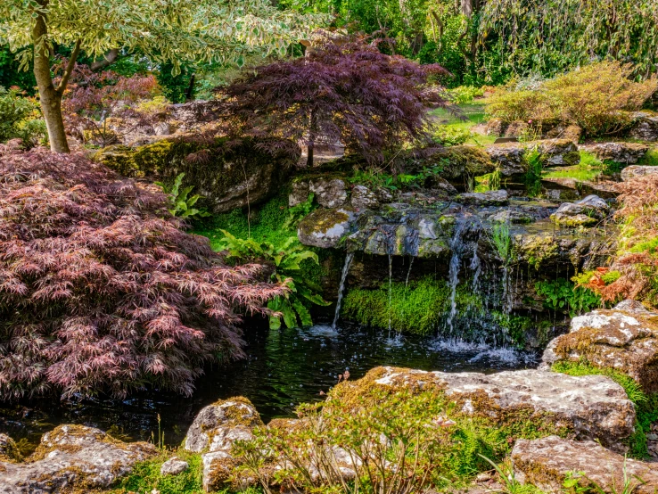 the garden has pink and green trees and rocks