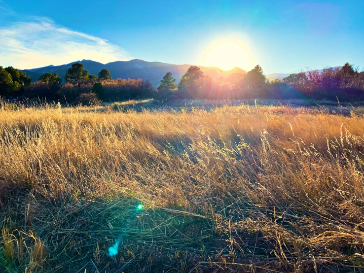 a grassy field with mountains in the distance