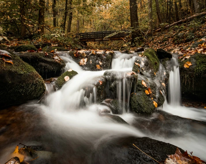 some water flowing down a small waterfall with leaves on the ground