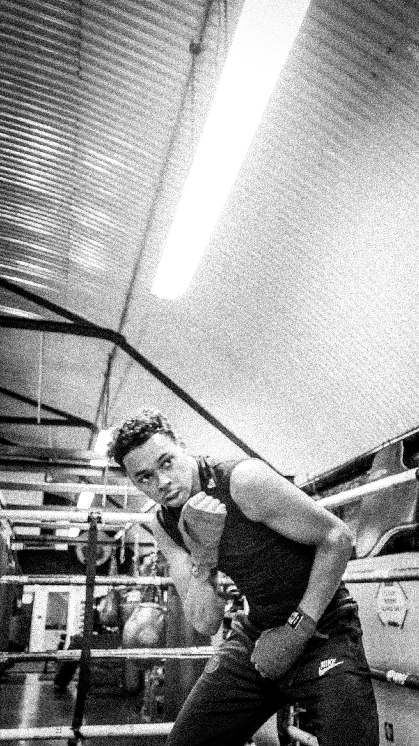 two boxers in the ring boxing