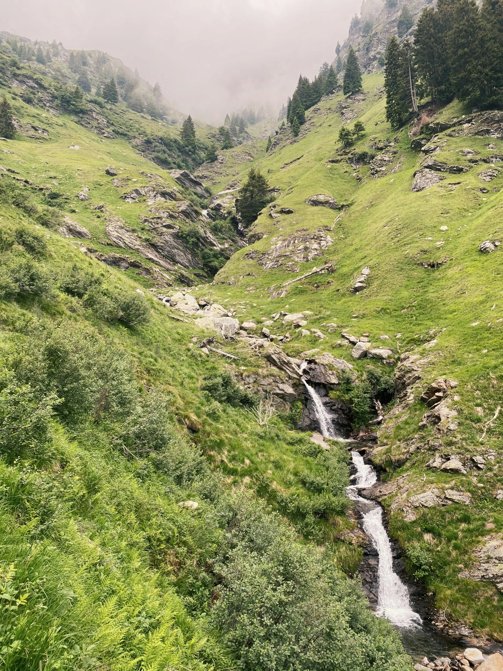 there is a stream and waterfall in the field