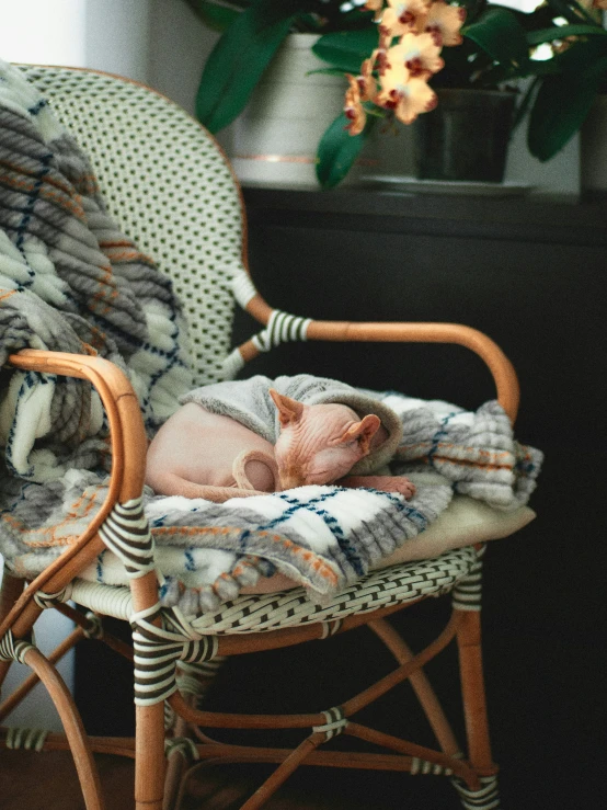 a newborn baby laying in an armchair and sleeping