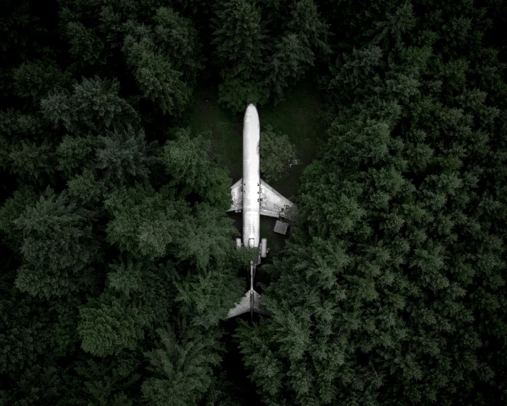 an airplane parked on the ground in a wooded area