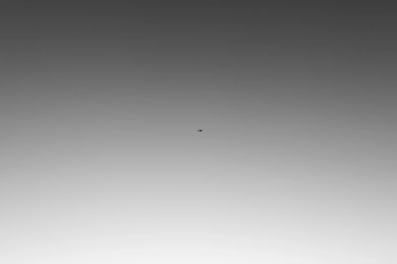 a black and white pograph of a bird flying in the sky