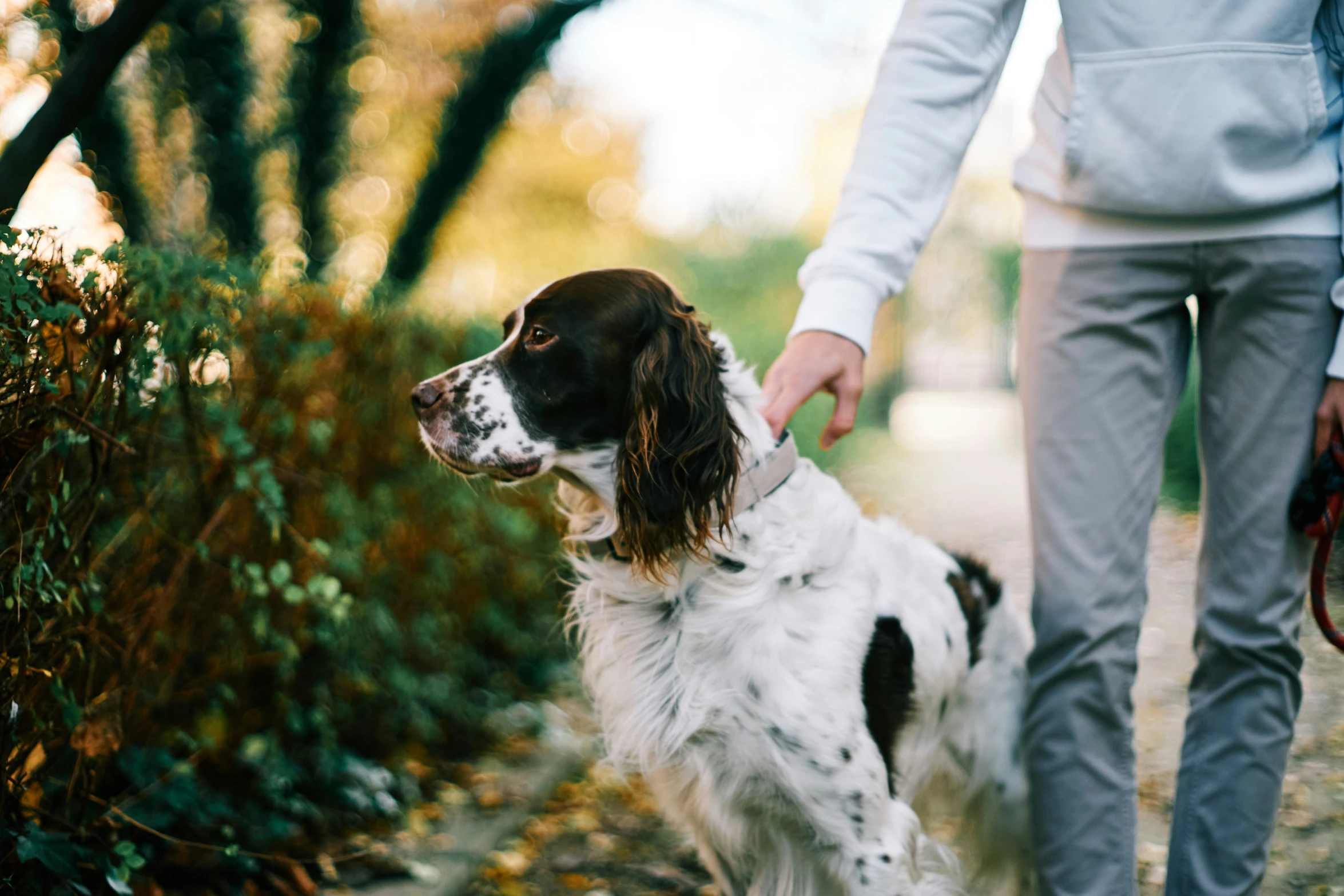 a man holding on to a dog on a leash