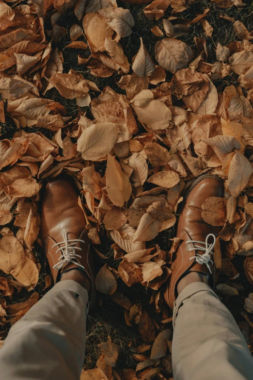 a view from above of a person's shoes and leaves on the ground