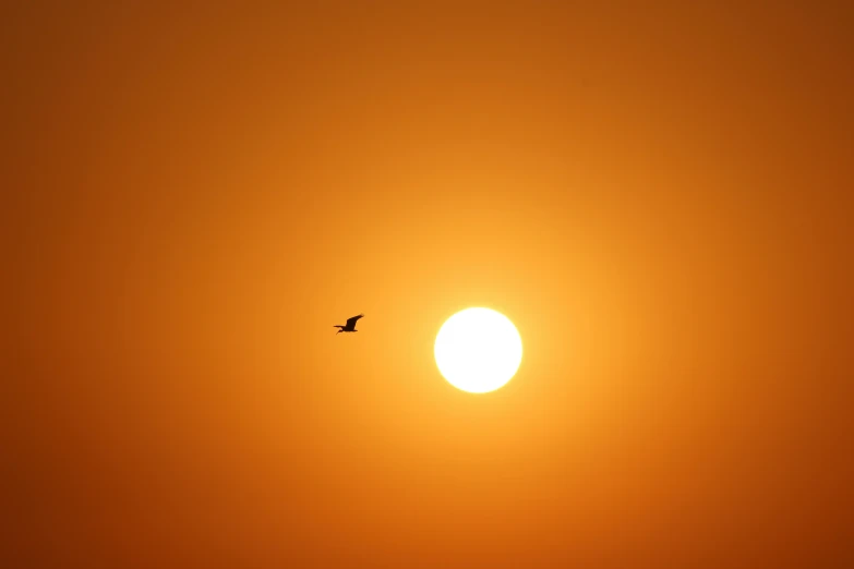 the sun is setting in the sky with a bird flying through it