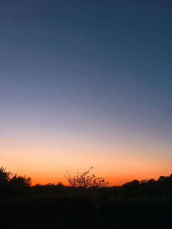 the trees are silhouetted against the sky and behind them is a bench