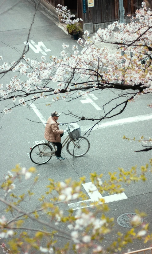 woman hing a bike while carrying a basket of flowers on a street