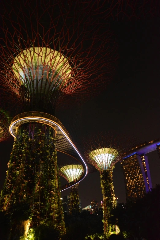 the garden is illuminated with white lights and a green bush behind them