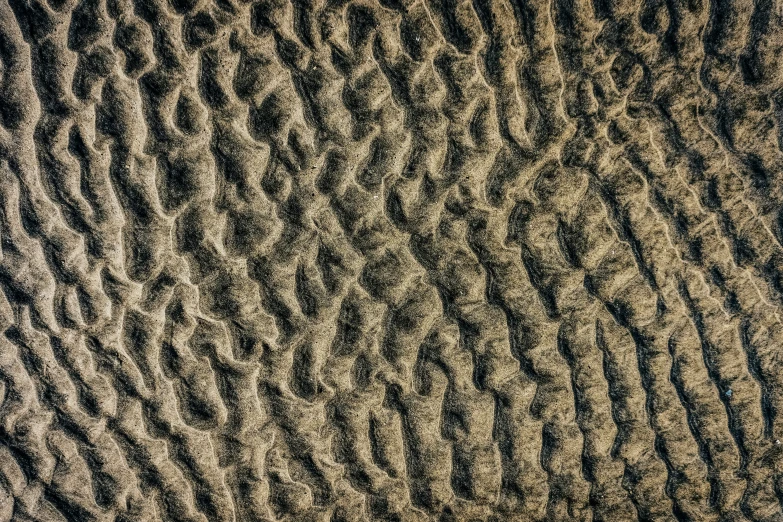 some black and white sand textured on the bottom