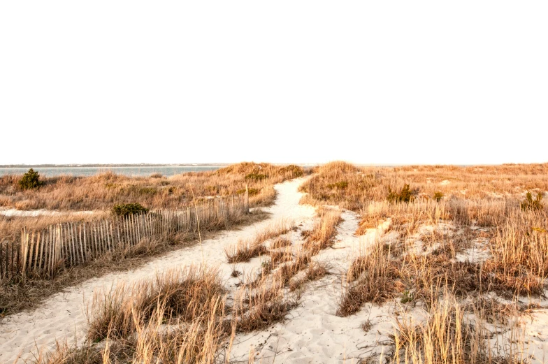 an area that looks like a field that is empty and dry