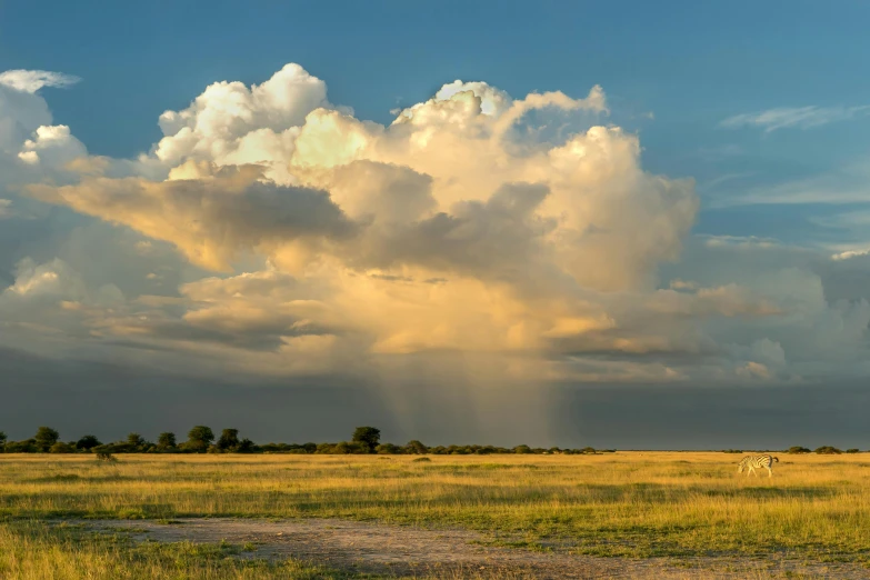 storm clouds roll in over a grass field