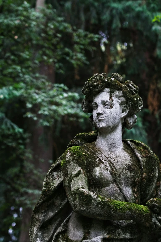 a statue of a woman in a forest is shown in the middle of a po