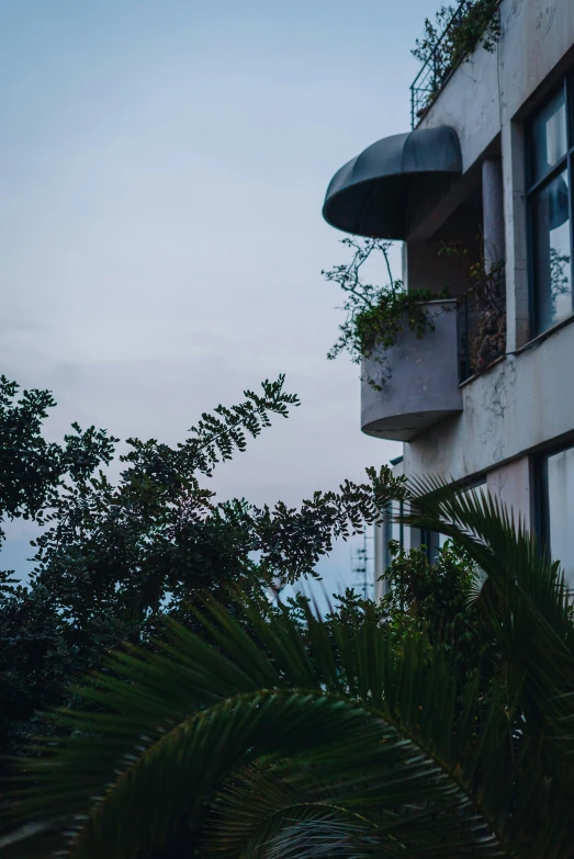 the corner of an apartment building that has plants growing on it