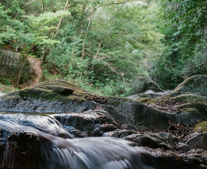 a stream flows between a forest with rocks