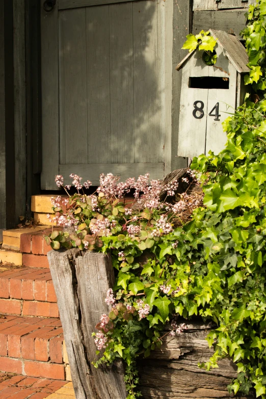 a close up of some flowers on a bench