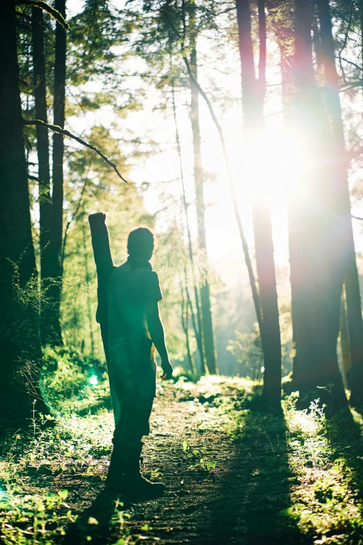 man standing in the woods looking at a tree