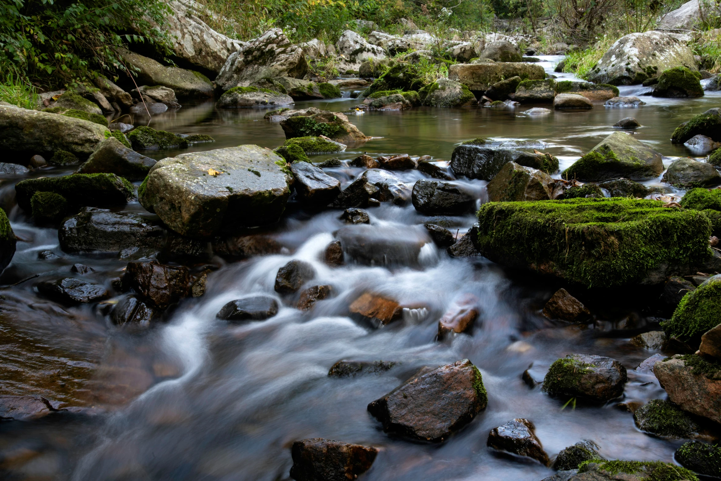 a close up of a stream with rocks and moss