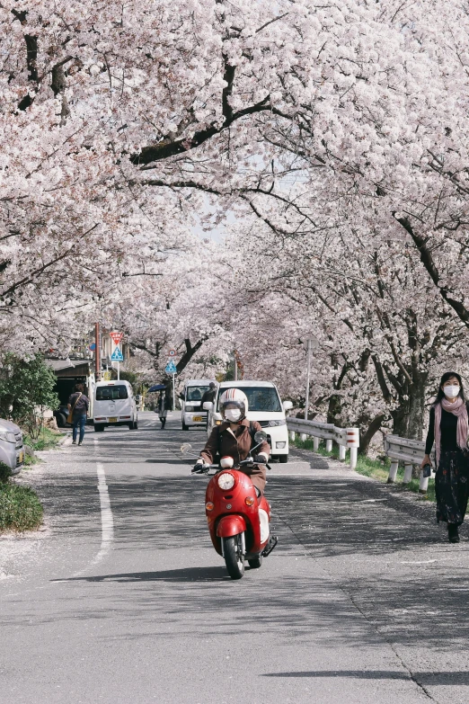 a man riding on the back of a motorcycle down a curvy street next to flowering trees