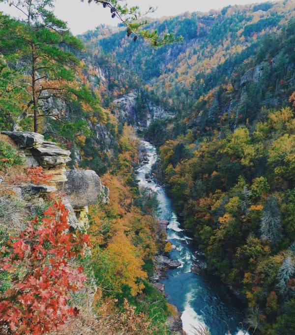 the view from the top of a hill, looking down on a river and fall foliage