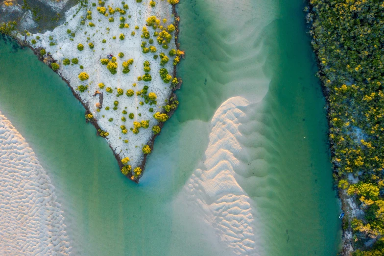 aerial view of trees and the water with white sand