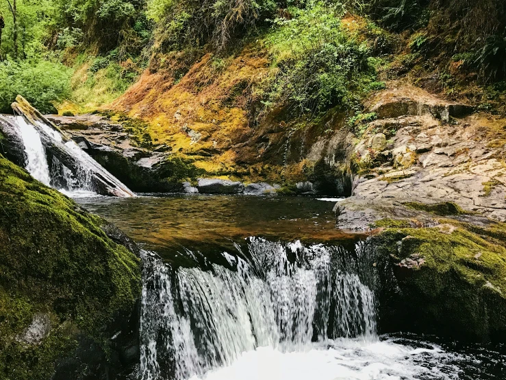 a river is running through some green foliage