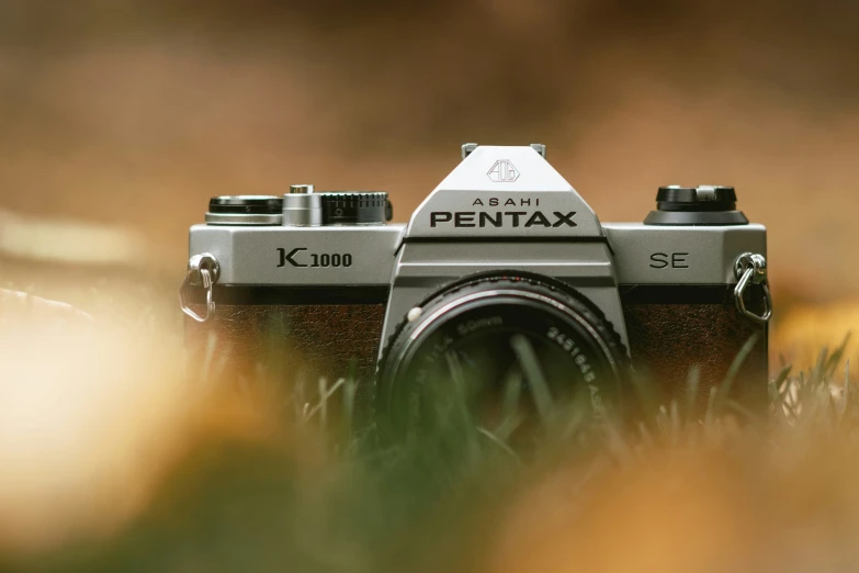 a small vintage camera sits in some grass