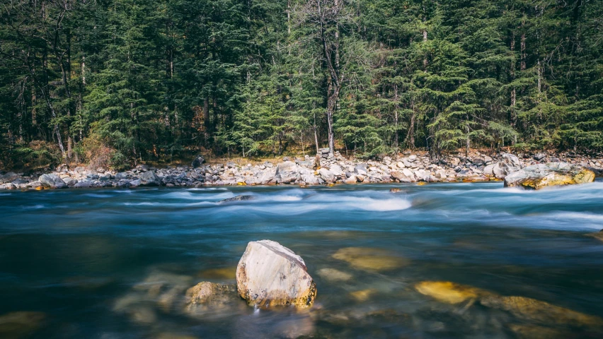 the rocky river flowing through a forest covered with rocks