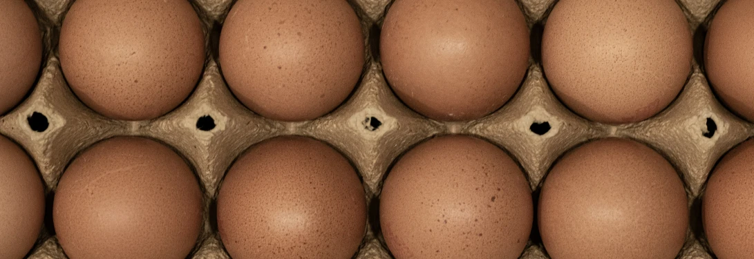an egg tray with several rows of brown eggs
