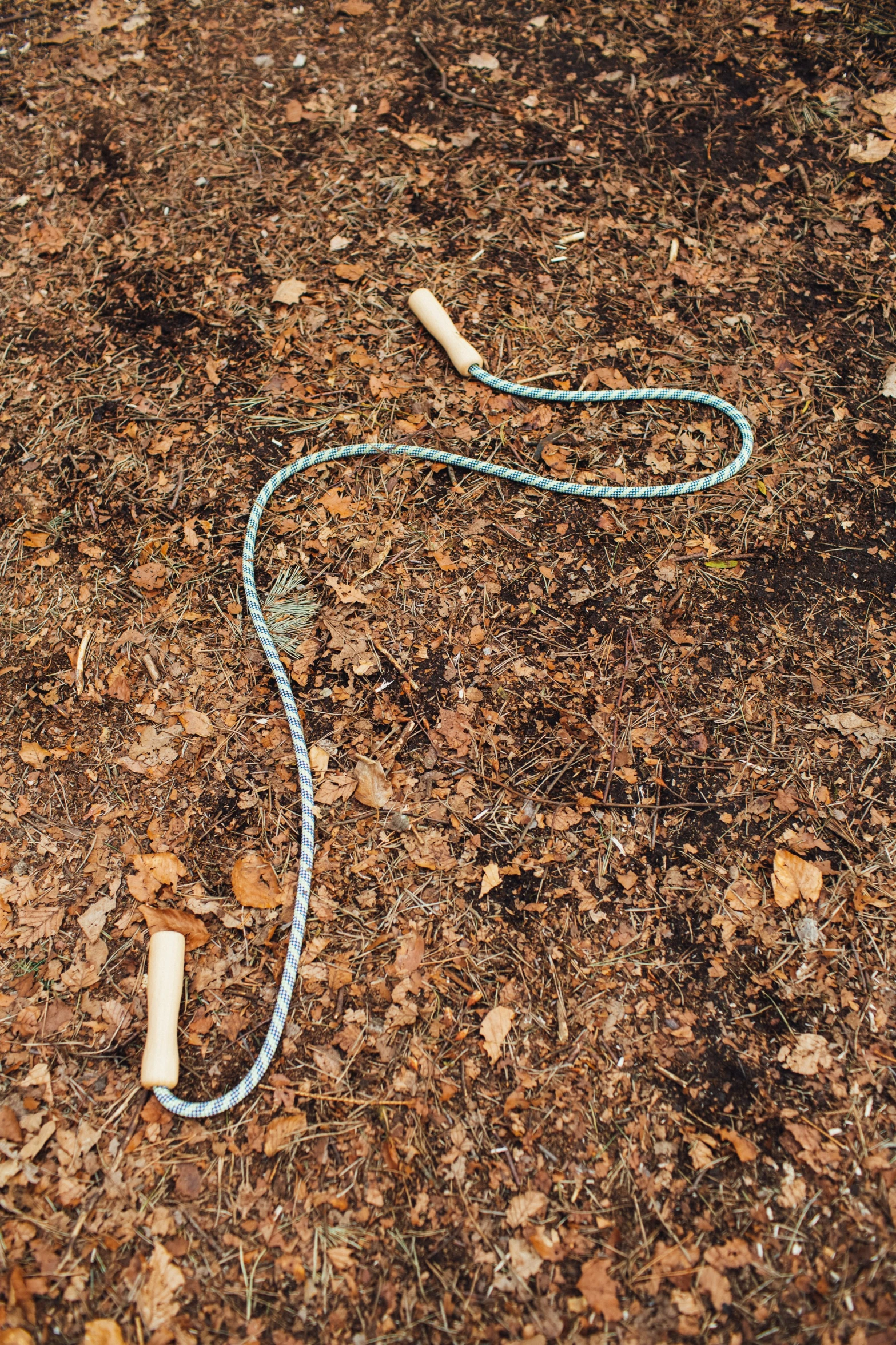 a string of soing in the middle of a dirt field