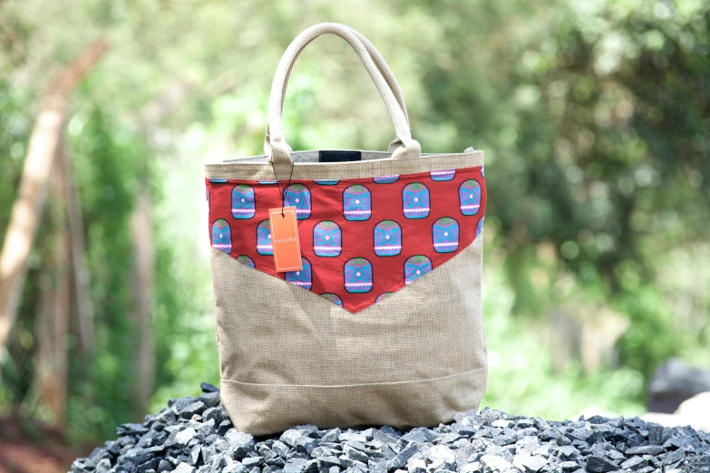 an upcycled canvas tote bag with images on it