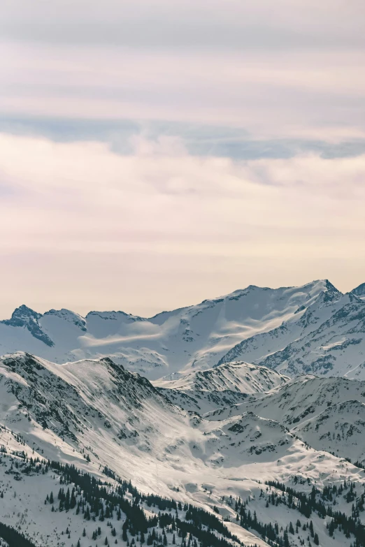 snowy mountains with pine trees on each side