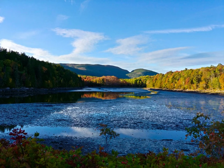 a river runs through an autumn landscape with bright foliage