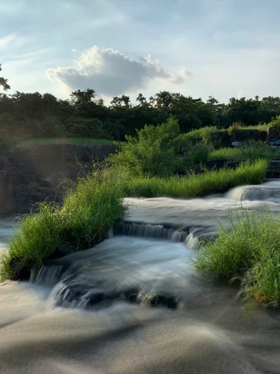 a flowing stream in the middle of a forest