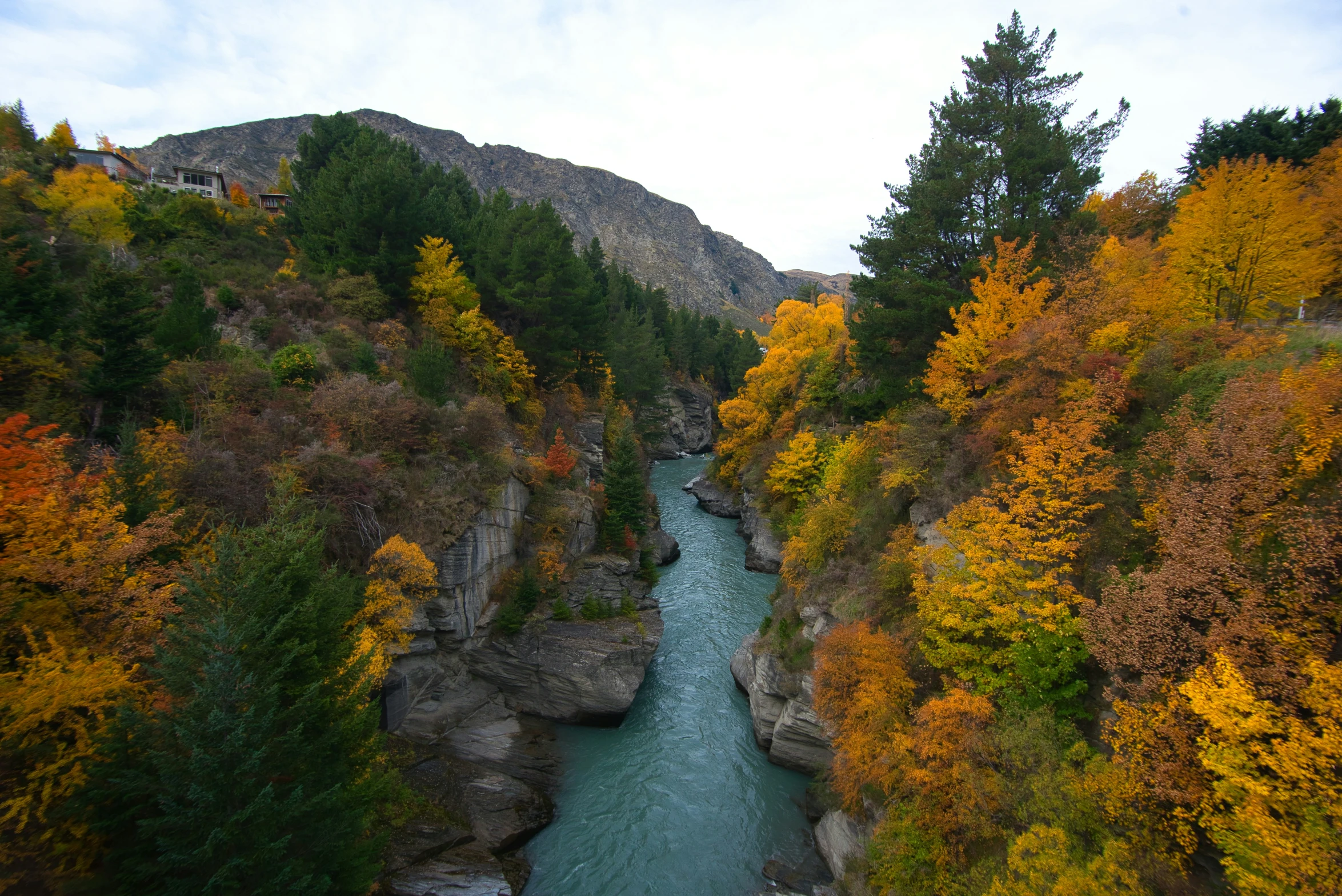 an aerial po looking down at a river that runs through the woods