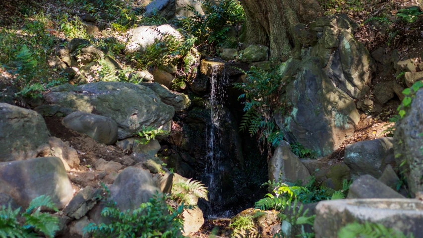 there is an elephant that is standing in the rocks