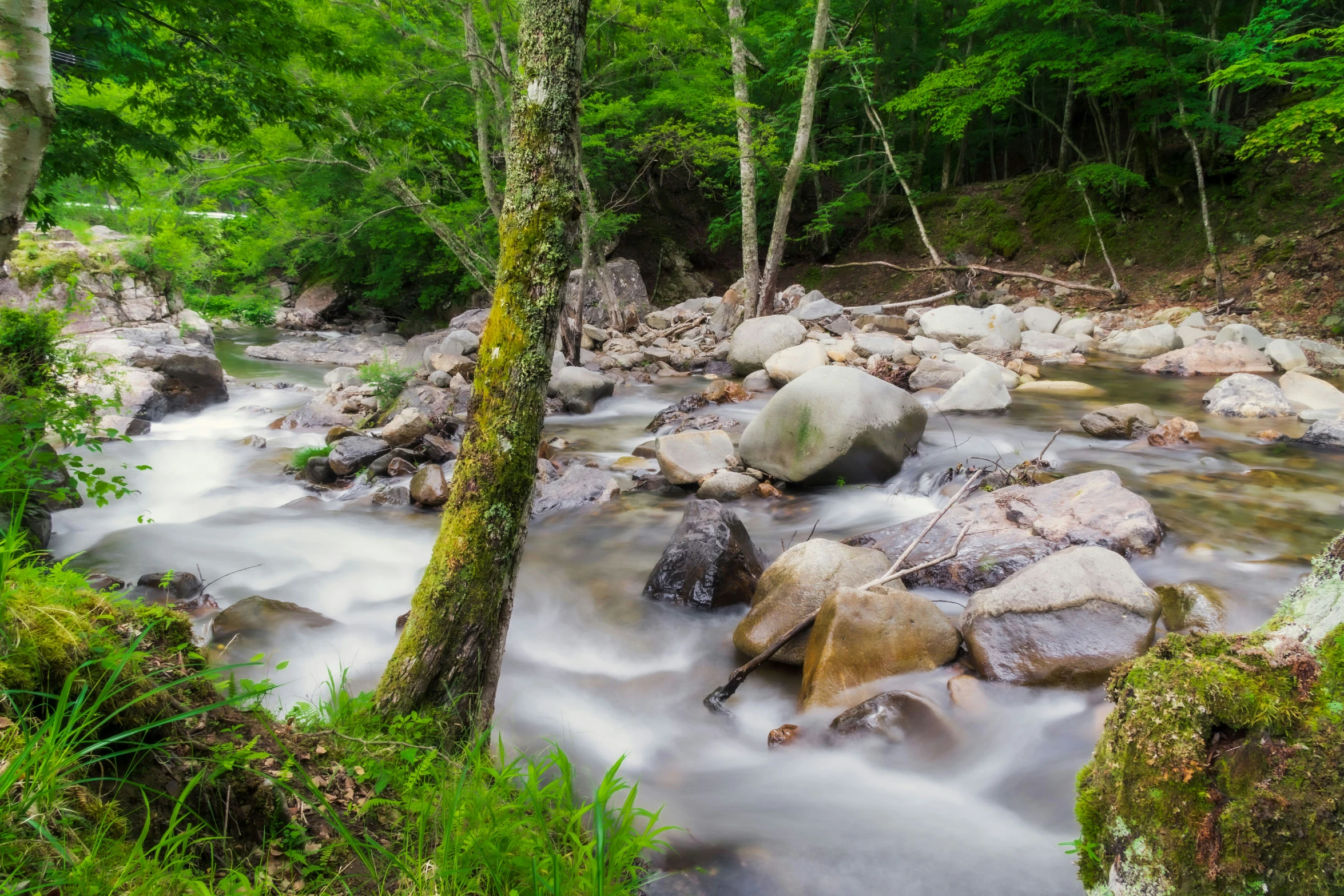 a river flowing between some trees and rocks