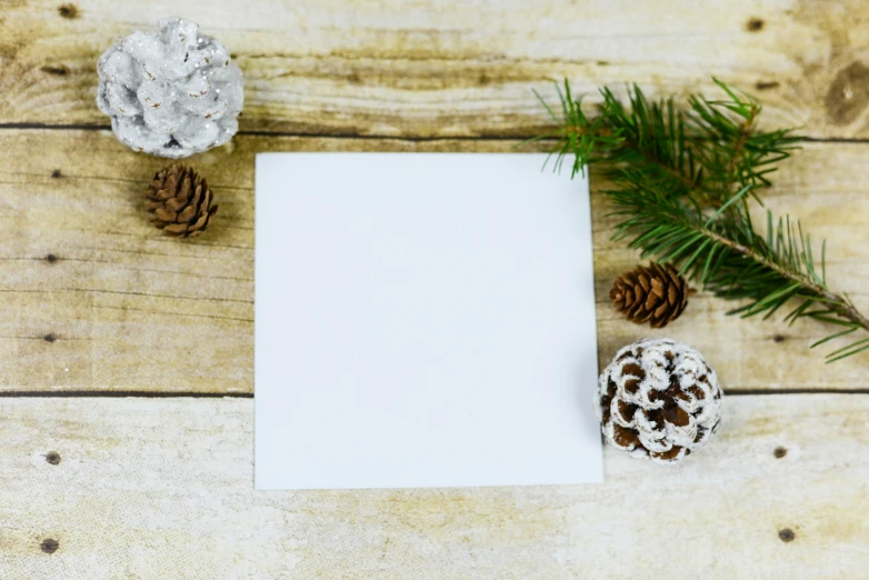 an blank card sitting next to two pine cones on a table