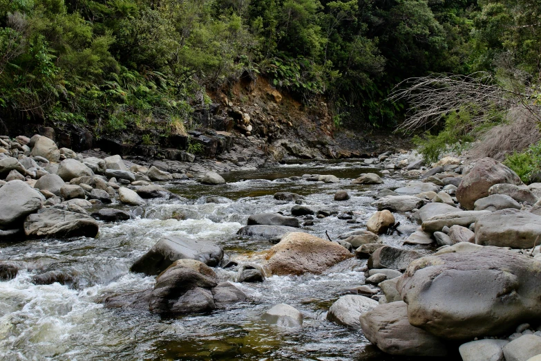 a body of water with rocks on the side