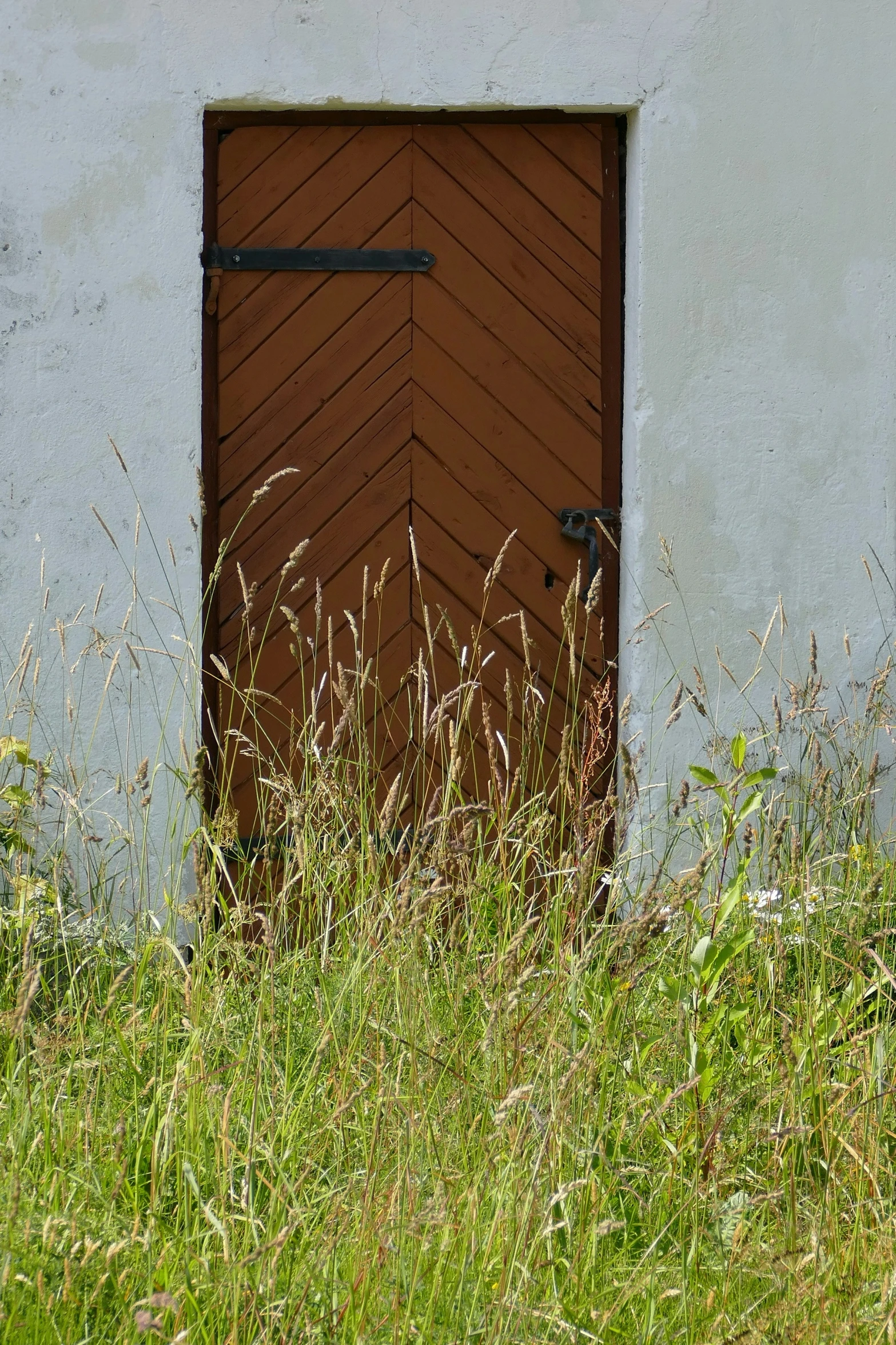 a door that is in the grass with a red fire hydrant nearby