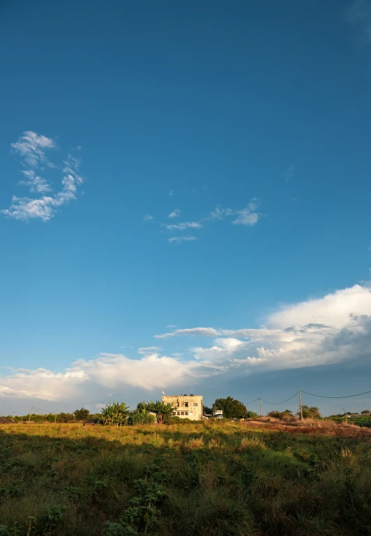 a very big grassy field that is in front of a large house